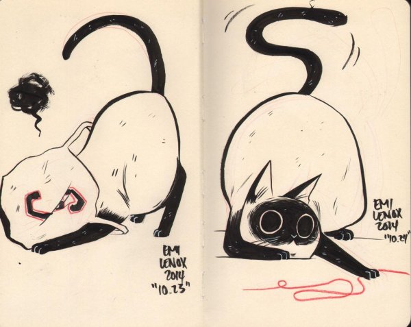 идеи для рисунков с котами