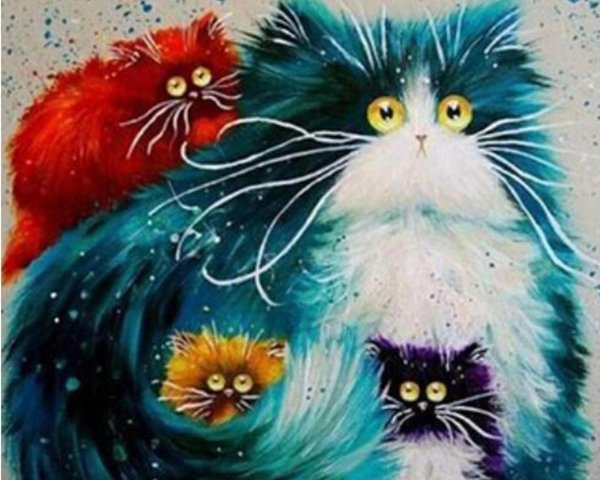 ким хаскинс kim haskins