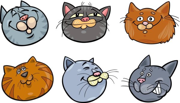 мордочки котиков