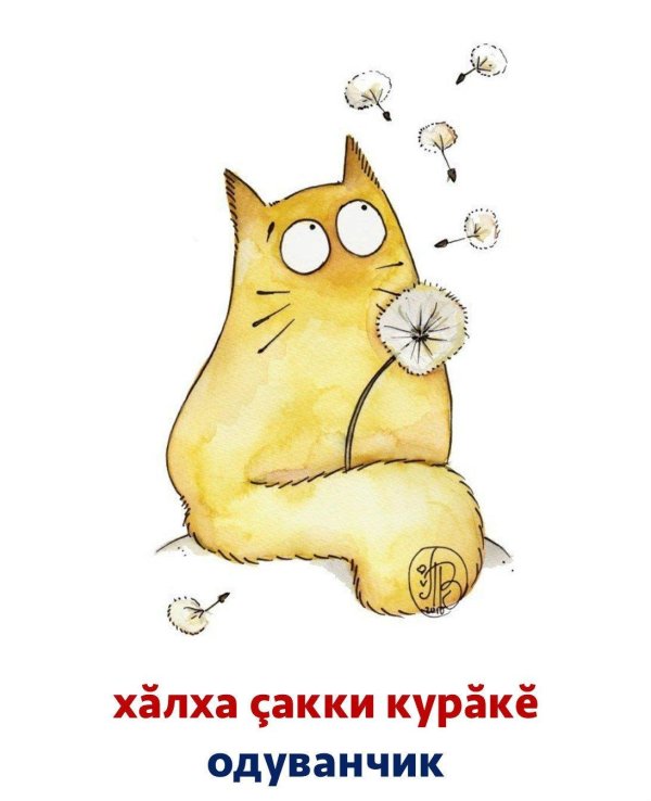 смешные мультяшные котики