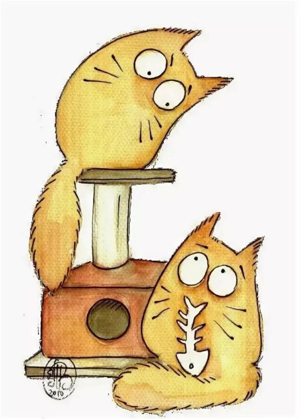 котики maria van bruggen