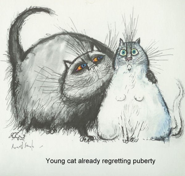 прикольные графические рисунки