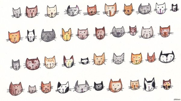 фон с котиками