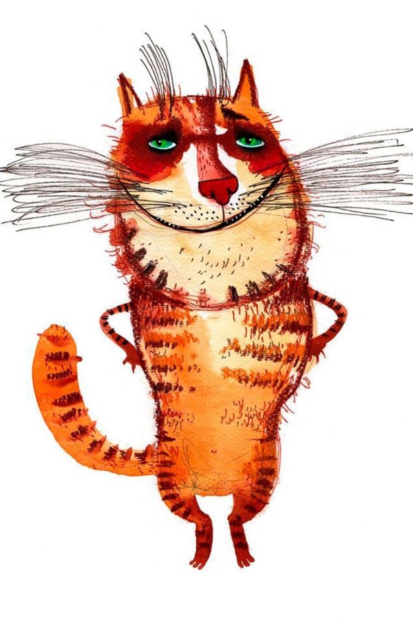 кот иллюстрация