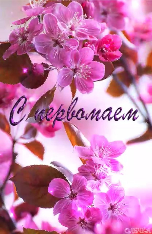 открытка весна
