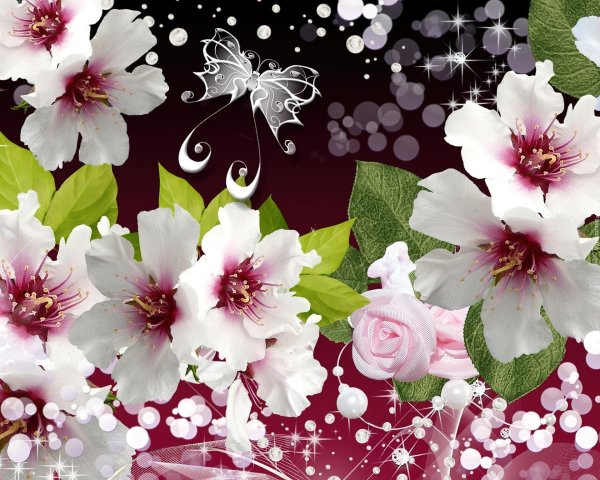 цветочные фоны