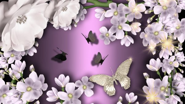 цветочные фоны