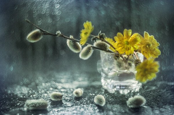 вербное воскресение