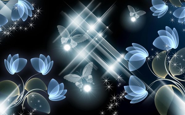 бабочка на темном фоне