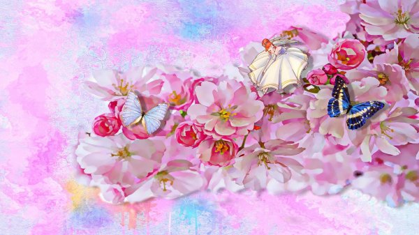 цветки сакуры