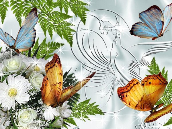 открытка с бабочками