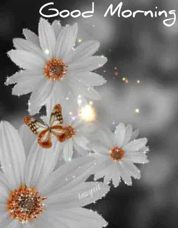 мерцающие ромашки