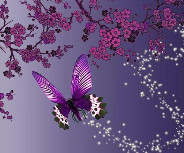 сиреневая бабочка
