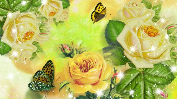 желтая роза