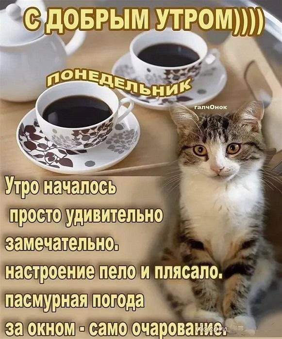 понедельник доброго утра
