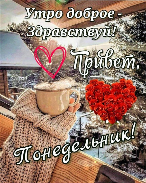доброе утро февральского понедельника