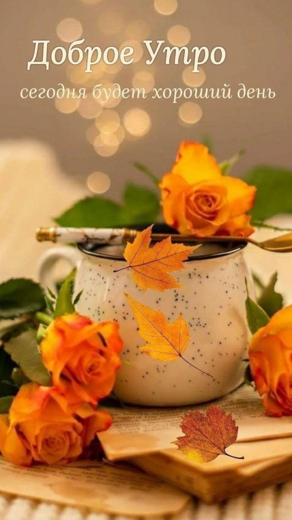 добра утра