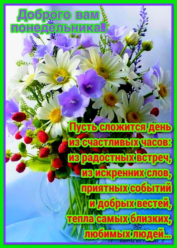 букет полевых цветов