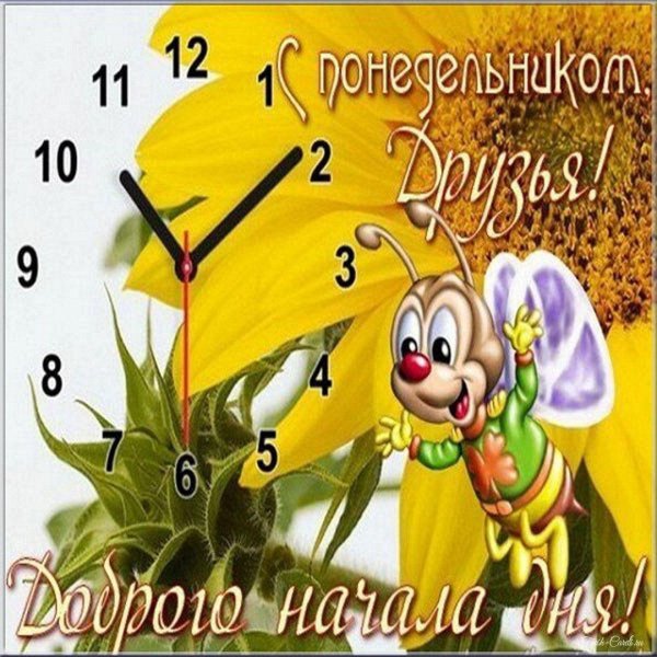 открытка с добрым понедельником