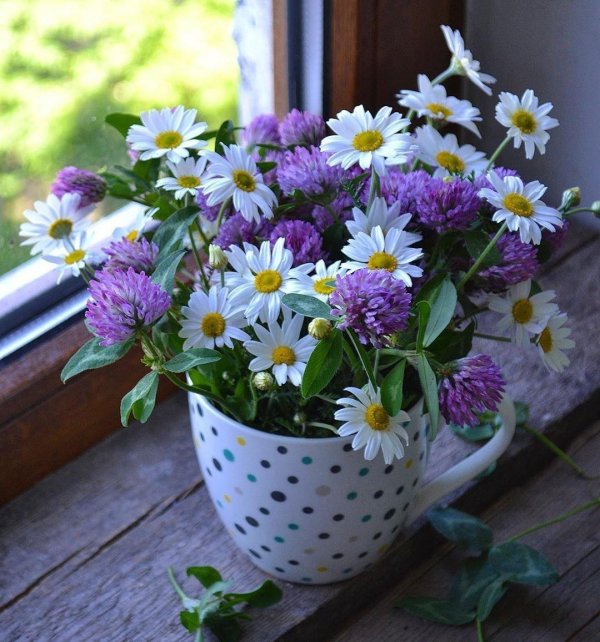 букет полевых цветов в вазе