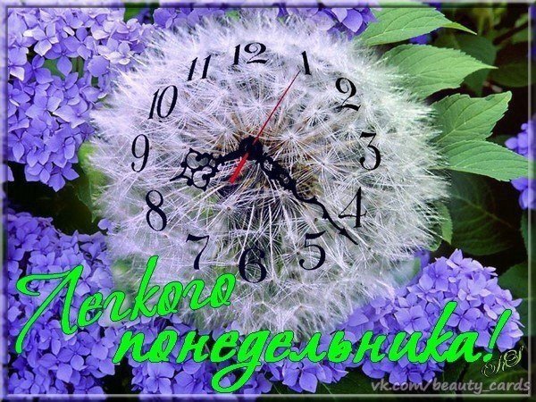 доброго понедельника открытка