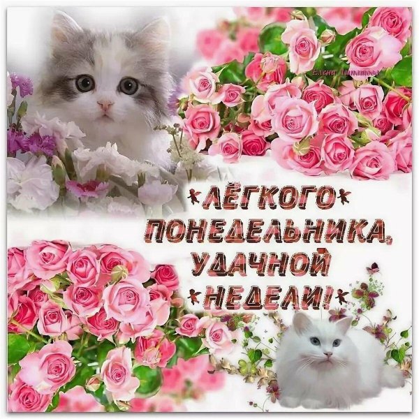 открытка с понедельником
