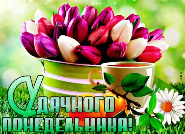 поздравление с понедельником