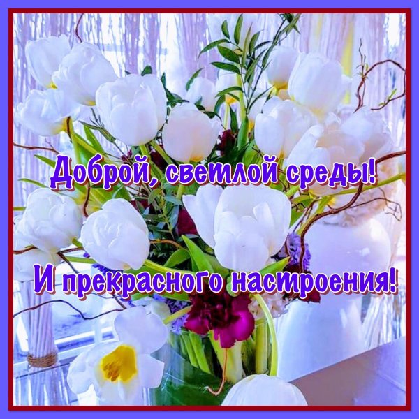 доброго утра среда