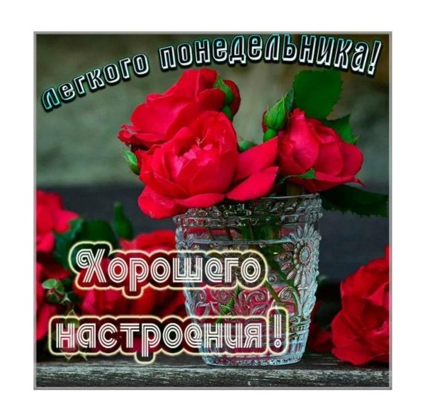 хорошей недели и отличного настроения