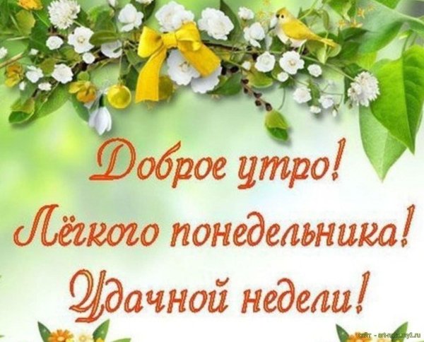 доброе утро понедельника хорошего дня и удачной недели