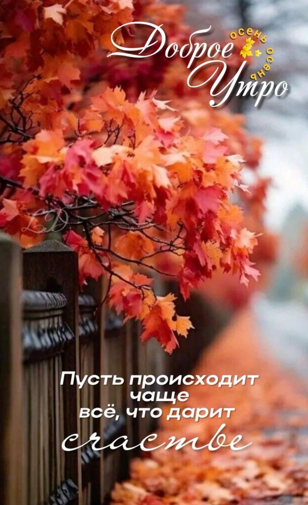 осеннего утра