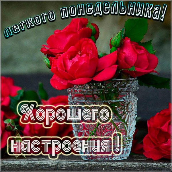 хорошей недели и отличного настроения