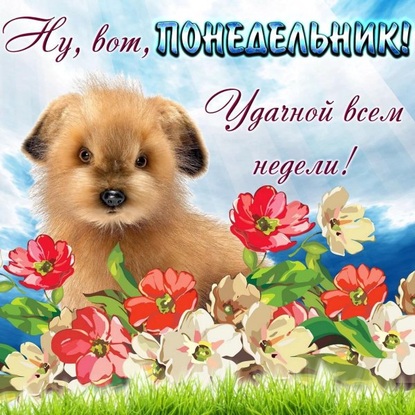 открытка легкого понедельника