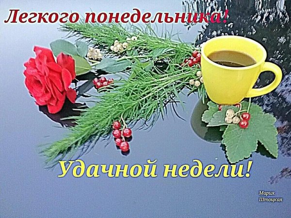 легкого понедельника удачной недели