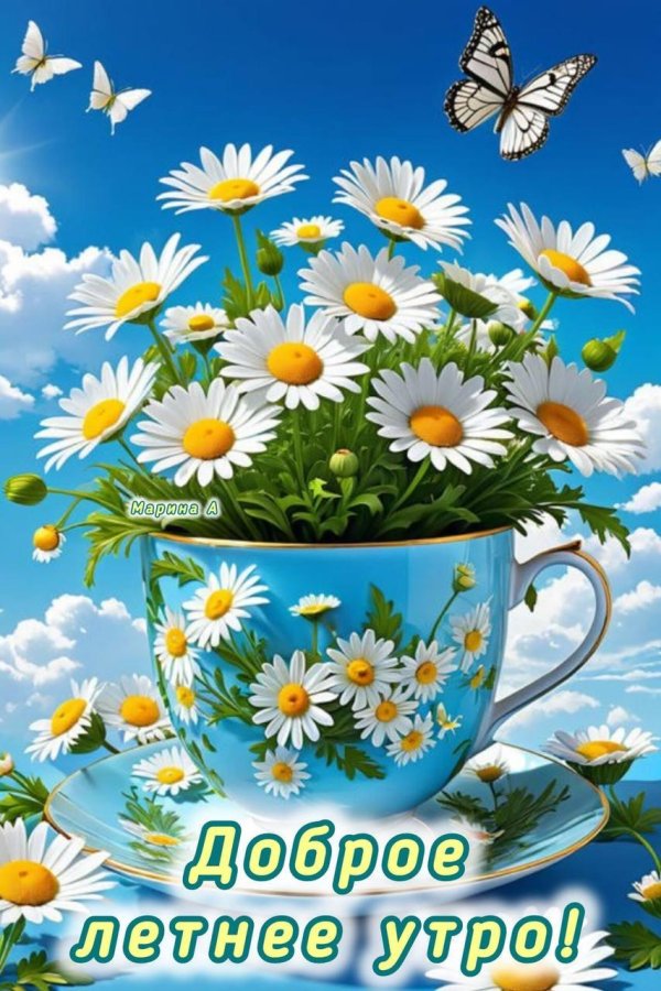 добрейшего летнего утра