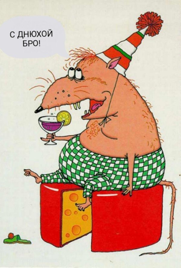 открытка смешная