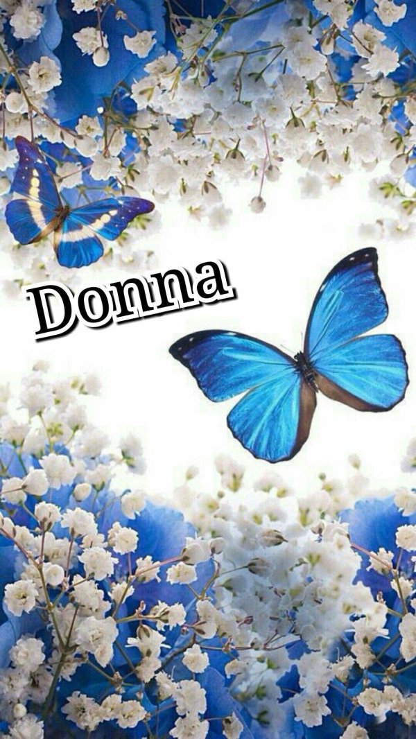 красивый фон с бабочками