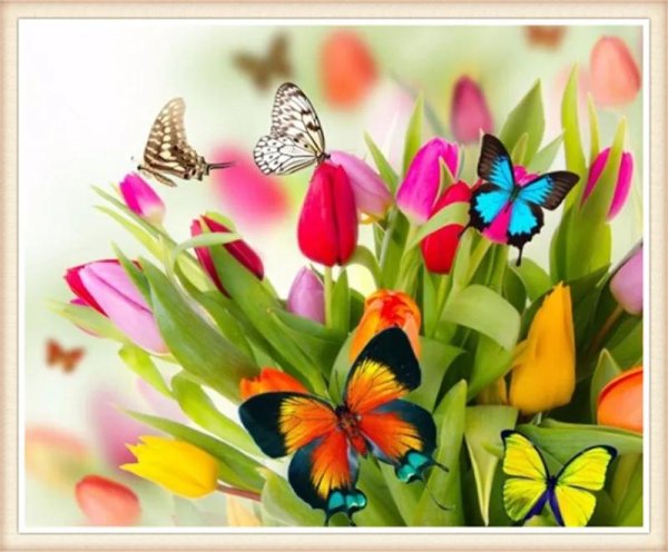 цветы яркие