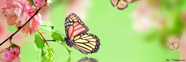 фон весенний