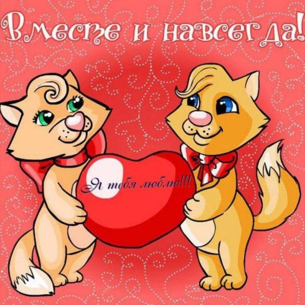 открытка любимая