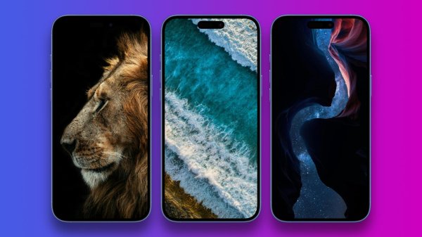 картины льва