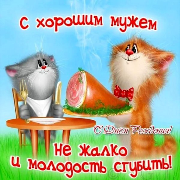 коты алексея долотова