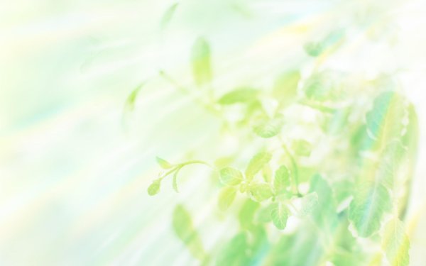 фон светлый