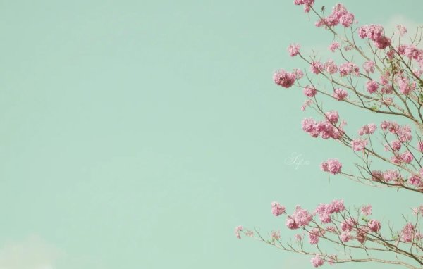 природа в пастельных тонах