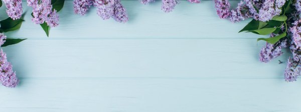 рамка сирень