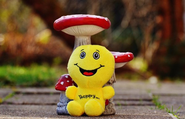 улыбка радости