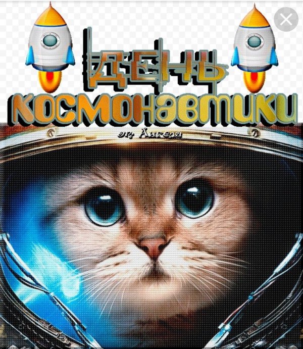 кот космонавт