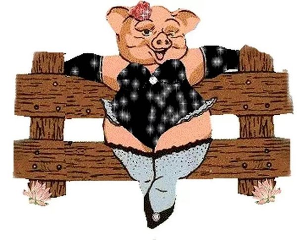 анимированный поросенок