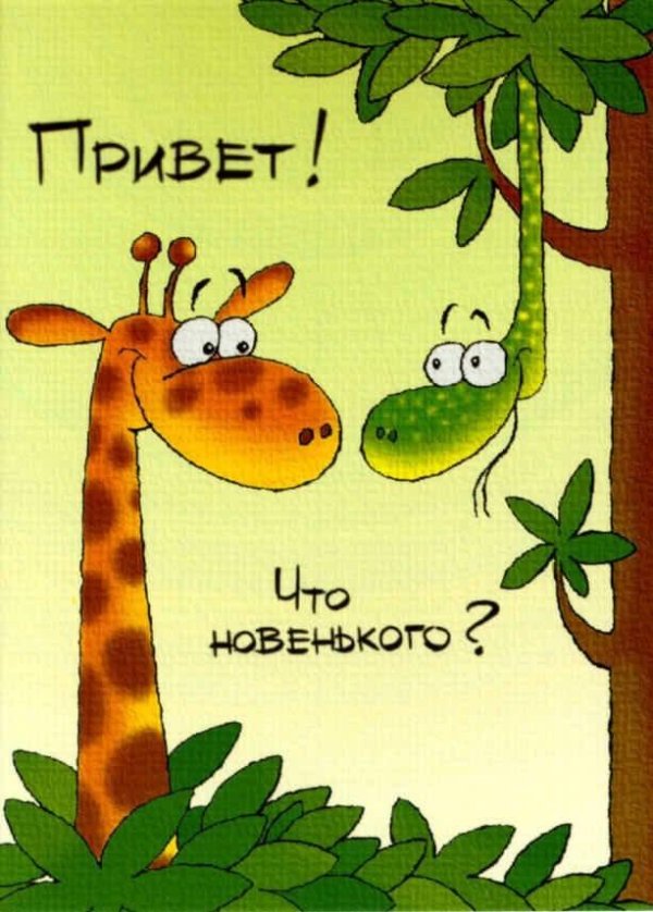 прикольное приветствие