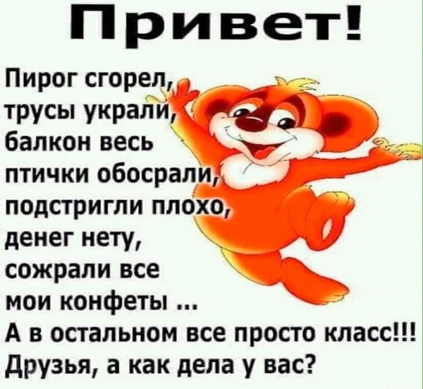 пирог сгорел трусы украли